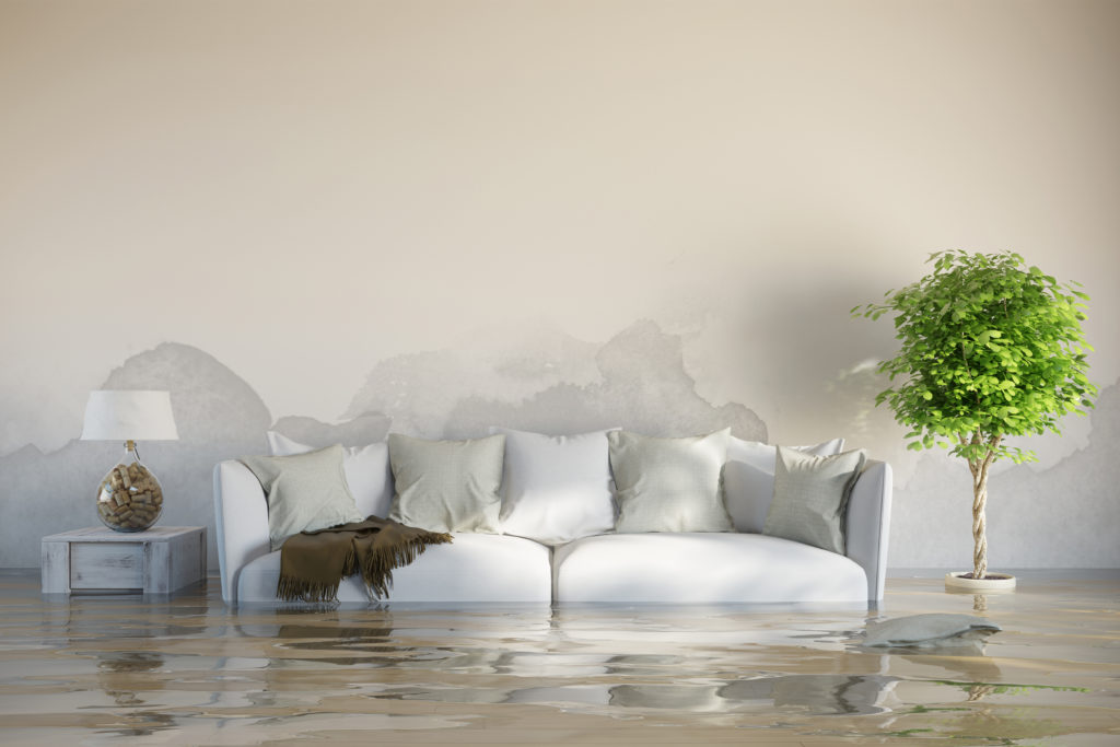 flood insurance